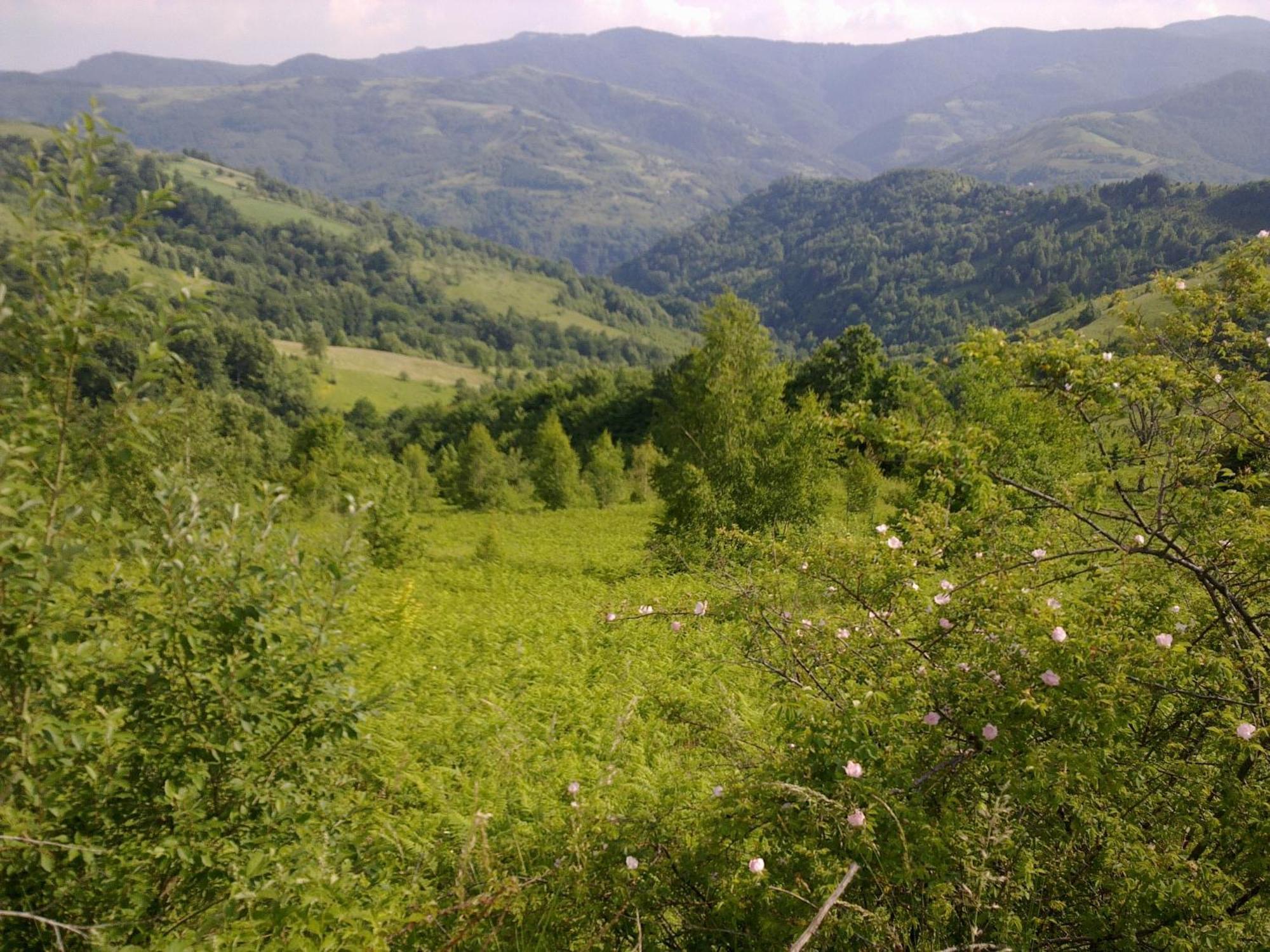 Hotel Javor Kušići 외부 사진