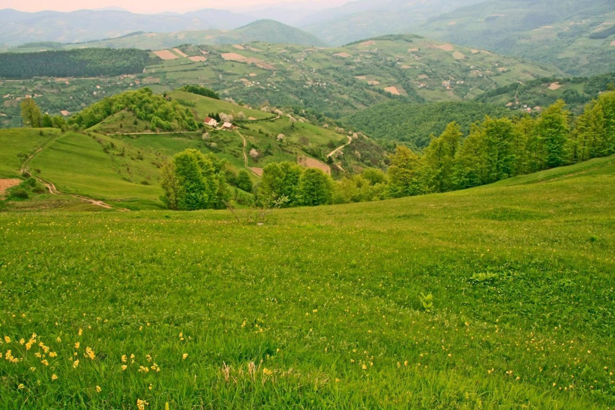 Hotel Javor Kušići 외부 사진